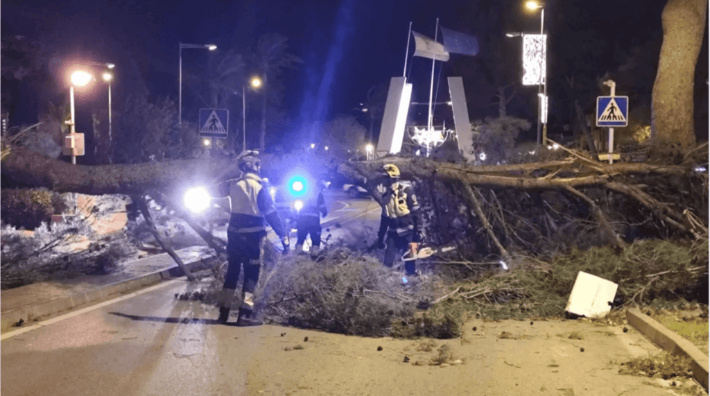 Weihnachten auf Mallorca: Sturm, Tramuntana-Wind und Schäden mit 148 km/h