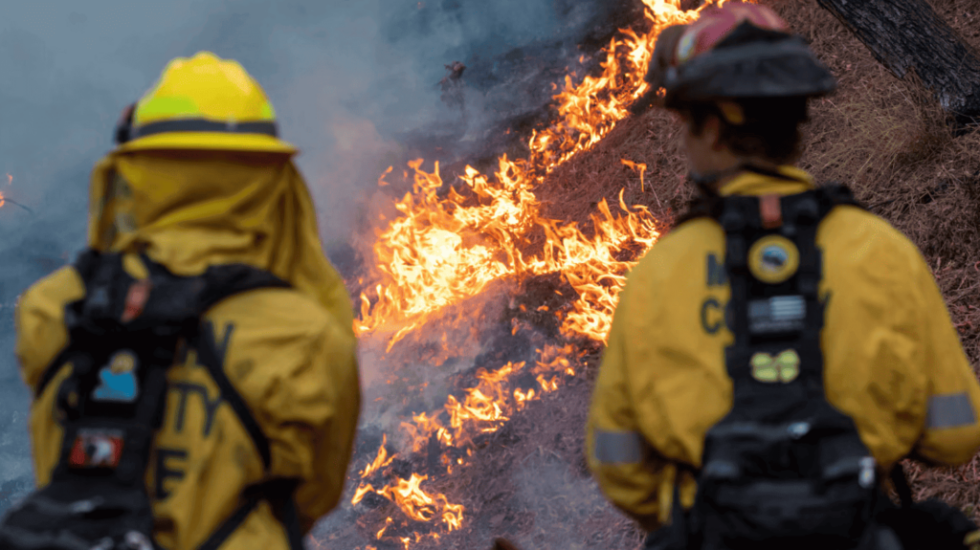 Feuer in Los Angeles: Zerstörung, Evakuierungen und steigende Zahl der Todesopfer