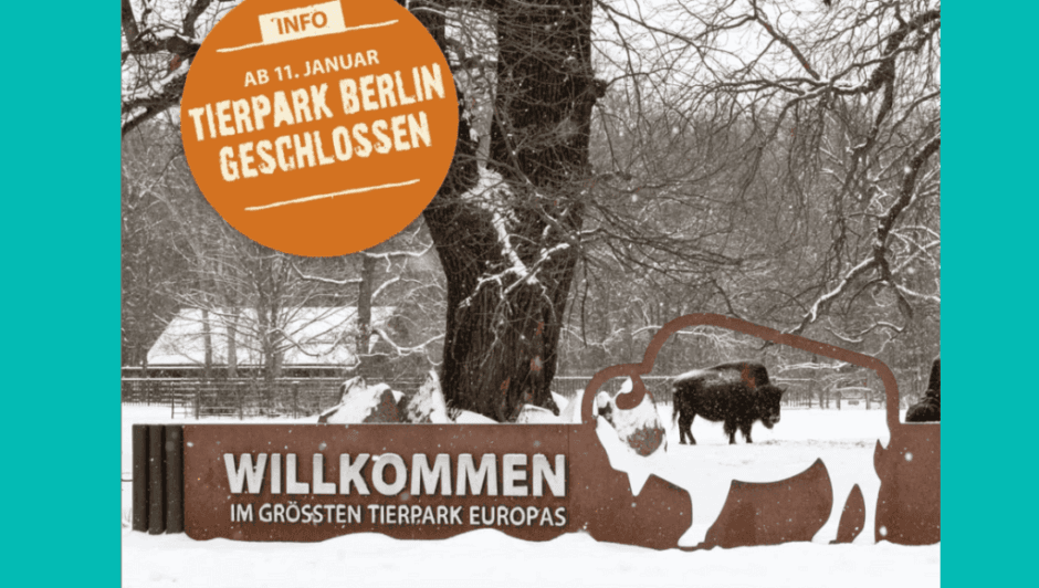 Tierpark Berlin vorübergehend geschlossen wegen Maul- und Klauenseuche