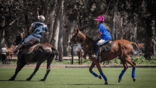 Argentinien – das Mutterland des Polosports: offene Felder, Criollo-Pferde, Spielkultur. Im Argentina Polo Club erleben Sie, was hier unmöglich scheint. Nur wo? Lesen Sie selbst.