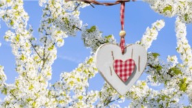 Das Baumblütenfest Werder (Havel) findet vom 26. April bis 4. Mai 2025 statt. Besucher erwarten Obstwein, Blüte, Musik, Umzug und regionale Spezialitäten.