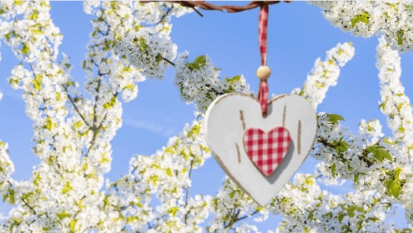 Das Baumblütenfest Werder (Havel) findet vom 26. April bis 4. Mai 2025 statt. Besucher erwarten Obstwein, Blüte, Musik, Umzug und regionale Spezialitäten.