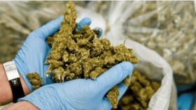 Am Flughafen BER wurden 68 Kilogramm Cannabis entdeckt – ein Rekordfund. Die Drogen waren professionell verpackt und sollten über Doha nach Deutschland geschmuggelt werden.