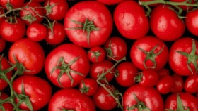 Beste Tage zum Tomatenpflanzen im Mai 2025 laut Mondkalender – Tipps für gesunde Pflanzen, reiche Ernte und die gesundheitlichen Vorteile von Tomaten.