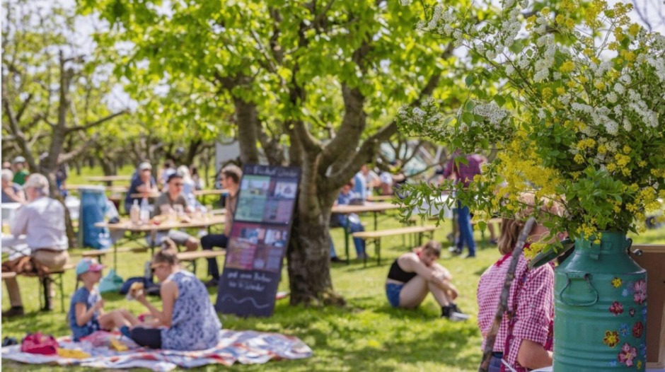 Heute startet das 146. Baumblütenfest in Werder. Besucher genießen Obstwein und Livemusik. Renewz berichtet über die neue verkürzte und friedliche Festversion.