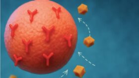 Insulinresistenz erkennen und behandeln: Ursachen, Symptome und die richtige Ernährung. So stoppen Sie die Vorstufe von Diabetes mit Lebensstil und Essgewohnheiten.