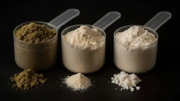 Entdecke die besten Proteinarten, Einnahme-Tipps und natürliche Quellen wie Linsen, Quark & Hanfprotein – ideal zum Abnehmen und Muskelaufbau.