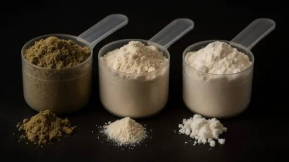 Entdecke die besten Proteinarten, Einnahme-Tipps und natürliche Quellen wie Linsen, Quark & Hanfprotein – ideal zum Abnehmen und Muskelaufbau.