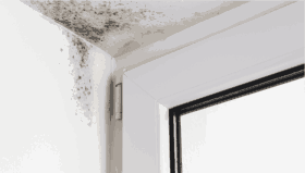 Schimmel in der Wohnung ist gefährlich und gesundheitsschädlich. Erfahre, wie du Symptome erkennst, richtig reagierst und deine Rechte als Mieter schützt.
