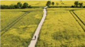 Im Landkreis Oberspreewald-Lausitz startet ein 12-Millionen-Euro-Projekt: Radwege und sieben Brücken werden bis 2027 modernisiert und ausgebaut.