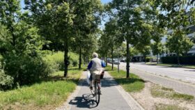 Die Linde gilt als Herzbaum Deutschlands – Symbol für Liebe, Heilung und Gemeinschaft. Wo steht die älteste Linde und was macht sie so besonders?