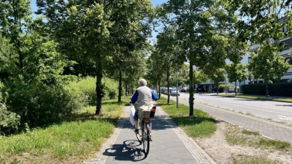 Die Linde gilt als Herzbaum Deutschlands – Symbol für Liebe, Heilung und Gemeinschaft. Wo steht die älteste Linde und was macht sie so besonders?