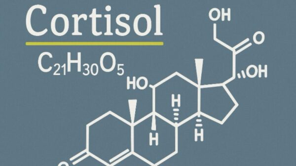 Cortisol (Hydrocortison) im Körper senken: Welche Nährstoffe helfen gegen Stresshormone? Lebensmittel, die wissenschaftlich belegt Cortisol beeinflussen.