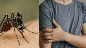 Was ist das Chikungunya-Virus? Symptome, Übertragung durch Tigermücken, aktuelle Ausbreitung in China, Impfstofflage & wirksame Schutzmaßnahmen.