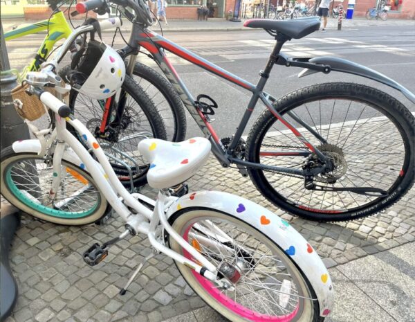 Finden Sie das perfekte Fahrrad nach Alter, Gewicht und Einsatzzweck – mit Rahmengrößen, Belastungsgrenzen, Materialtipps und Kaufberatung.