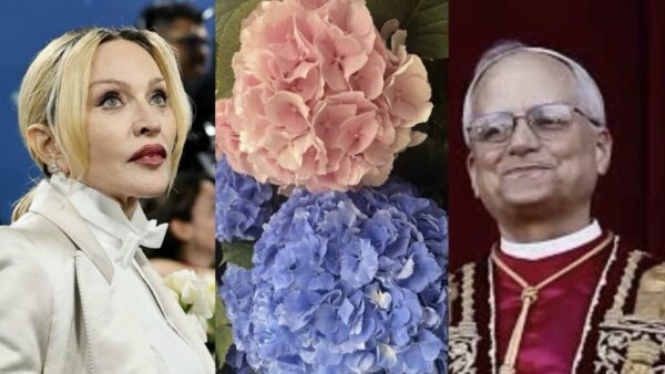 Madonna und Hortensien: Vom viralen Eklat in Venedig bis zu symbolträchtigen Blumen im Vatikan. Welche Blüten liebt der Papst – und warum?