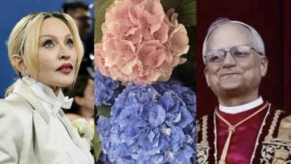 Madonna und Hortensien: Vom viralen Eklat in Venedig bis zu symbolträchtigen Blumen im Vatikan. Welche Blüten liebt der Papst – und warum?