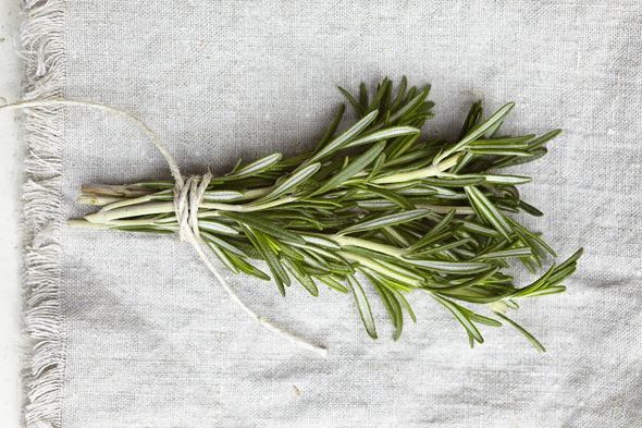 Rosmarin stärkt Gedächtnis, Verdauung und Immunsystem. So nutzen Sie Öl, Tee und Gewürz richtig – plus Anleitung für Anbau im Garten und auf dem Balkon.