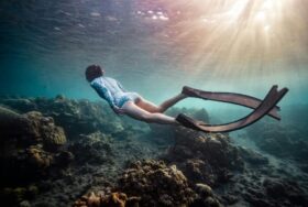 Aktivurlaub auf Fuerteventura: Surfen, Wandern, Tauchen, Biken. Entdecke die besten Aktivitäten und Tipps für eine sportliche Auszeit auf den Kanaren.