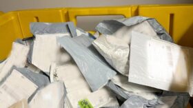 Gefährliche Saatgut-Sendungen: Behörden warnen vor unbestellten Tütchen und Risiken für Natur und Landwirtschaft