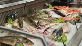 Vitamin D-Mangel natürlich bekämpfen: Entdecken Sie die 6 besten Fische wie Lachs, Hering und Sardinen, die den Körper ohne Tabletten mit Vitamin D versorgen.