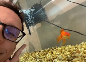 Ein Goldfisch sorgt auf Twitch für Furore: Tortellini besiegt Radahn im Elden-Ring-DLC Shadow of the Erdtree. KI, Gaming und Streaming-Kultur im Fokus.