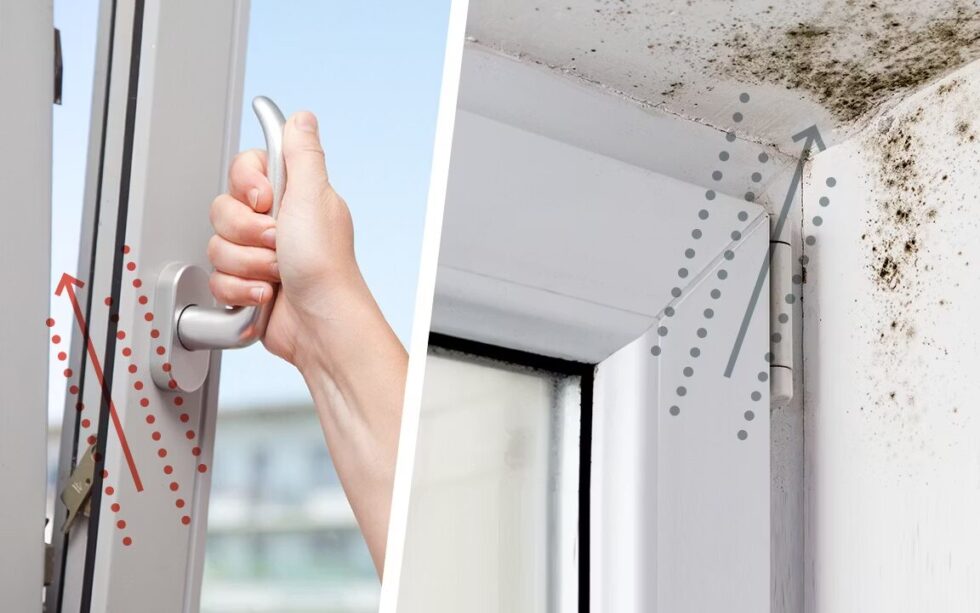 Richtig lüften gegen Schimmel: Detaillierte Anleitung für Stoß- und Querlüften. Experten-Tipps, wie Sie Feuchtigkeit kontrollieren, Schimmel vermeiden und gesund wohnen.