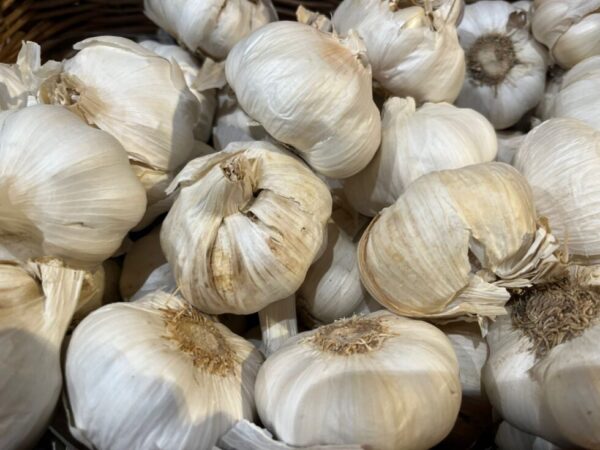 Täglich Knoblauch essen? Diese unbekannten Vorteile, versteckten Risiken und verbotenen Gruppen sollten Sie kennen. Wie Allicin wirkt und wer Knoblauch besser meidet.
