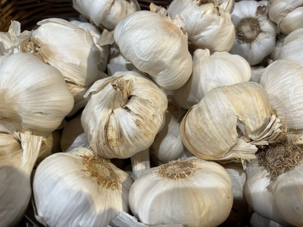 Täglich Knoblauch essen? Diese unbekannten Vorteile, versteckten Risiken und verbotenen Gruppen sollten Sie kennen. Wie Allicin wirkt und wer Knoblauch besser meidet.