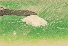 Kokain-Schwemme in Deutschland: Trotz hoher Reinheit ist Kokain günstig wie selten. Die Kartelle optimieren Logistik und Vertrieb. Analyse der Drogenwelle.