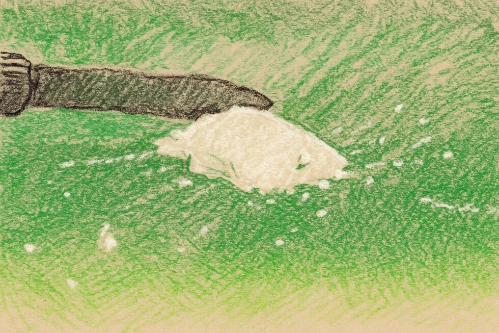 Kokain-Schwemme in Deutschland: Trotz hoher Reinheit ist Kokain günstig wie selten. Die Kartelle optimieren Logistik und Vertrieb. Analyse der Drogenwelle.