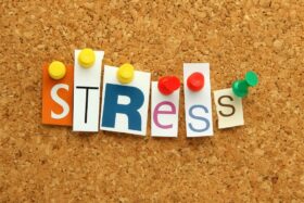 Der Axa Future Risks Report 2025 zeigt: Gesellschaftliche Spannungen überholen den Klimawandel als Top-Risiko in Deutschland. Cybergefahren und KI-Risiken werden weiterhin unterschätzt.