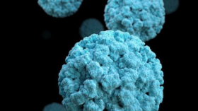 Norovirus-Welle rollt über Deutschland: Die neue Variante GII.17 lässt die Fallzahlen laut RKI um 30 % steigen. Experten warnen vor einer hochansteckenden Saison.