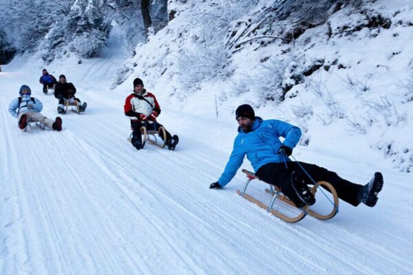 Rodelbahn Großer Arber im Bayerischen Wald: 1,2 km Familienrodelspaß. Infos zu Preisen (9 € Einzelfahrt), Sessellift, Schlittenverleih (12 €) und Sicherheit.