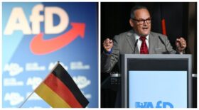 AfD-Verwandtenaffäre in Sachsen-Anhalt: Verwandte von Martin Reichardt und Ulrich Siegmund im Bundestagsbüro angestellt, Kontroversen vor Landtagswahl.