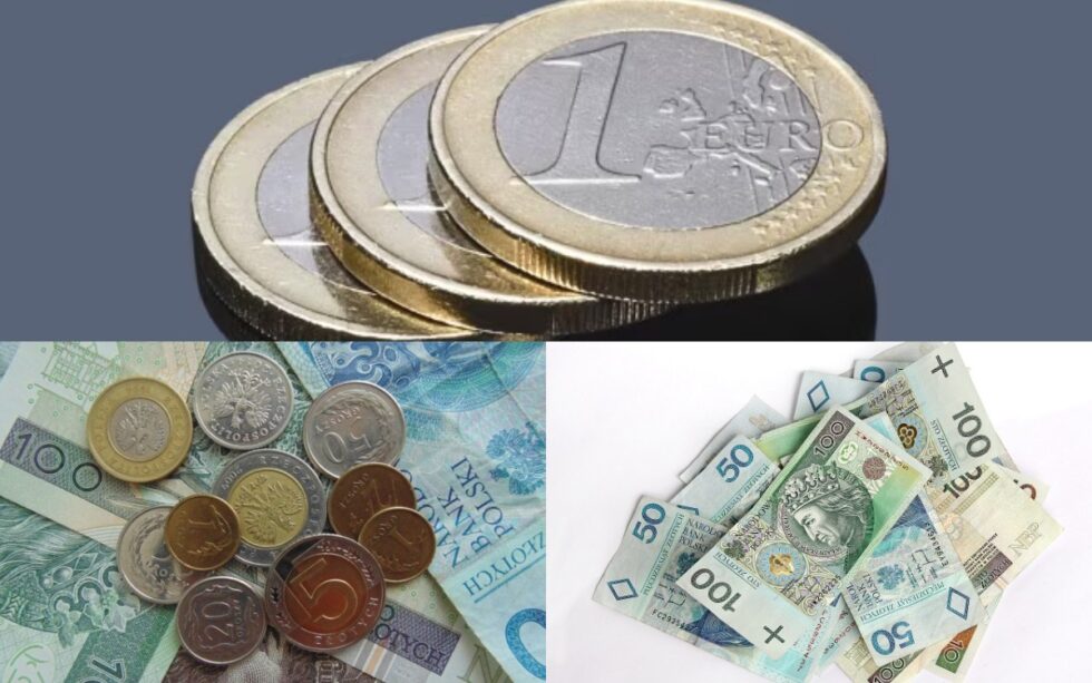 Aktuelle Analyse der Wechselkurse Zloty, Euro und Dollar in Deutschland 2026. Infos zu EZB-Kursen, Bankgebühren, BaFin-Regeln und Tipps für günstigen Geldwechsel