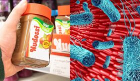 Wichtiger Rückruf 2026: Nudossi Haselnusscreme wegen Salmonellen belastet. Erfahren Sie alles zu betroffenen Chargen, Symptomen und wie Sie ohne Kassenbon Ihr Geld zurückerhalten.