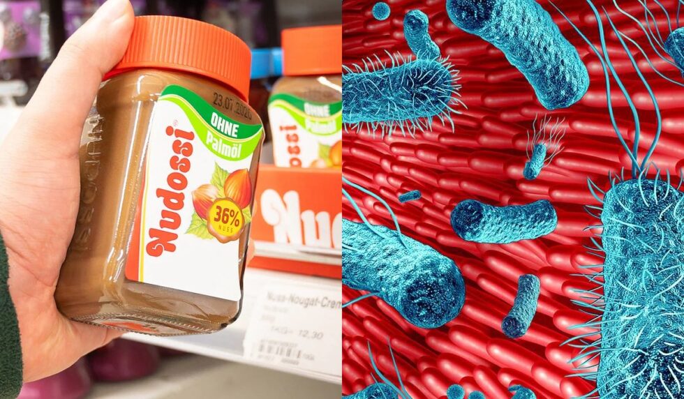 Wichtiger Rückruf 2026: Nudossi Haselnusscreme wegen Salmonellen belastet. Erfahren Sie alles zu betroffenen Chargen, Symptomen und wie Sie ohne Kassenbon Ihr Geld zurückerhalten.