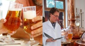 Münchener Forscher analysieren Vitamin B6 in 65 Biersorten. Erfahren Sie, warum Bockbier Spitzenreiter ist und warum alkoholfreies Bier 2026 die gesündere Wahl für Ihren Vitaminhaushalt bleibt